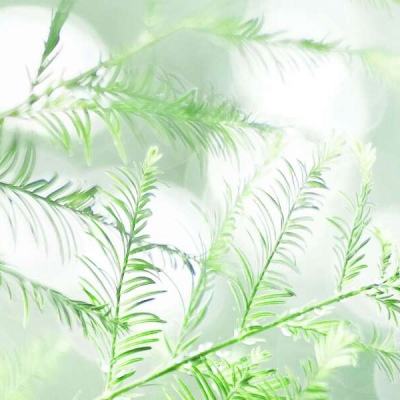 黑暗与荣耀360服下载